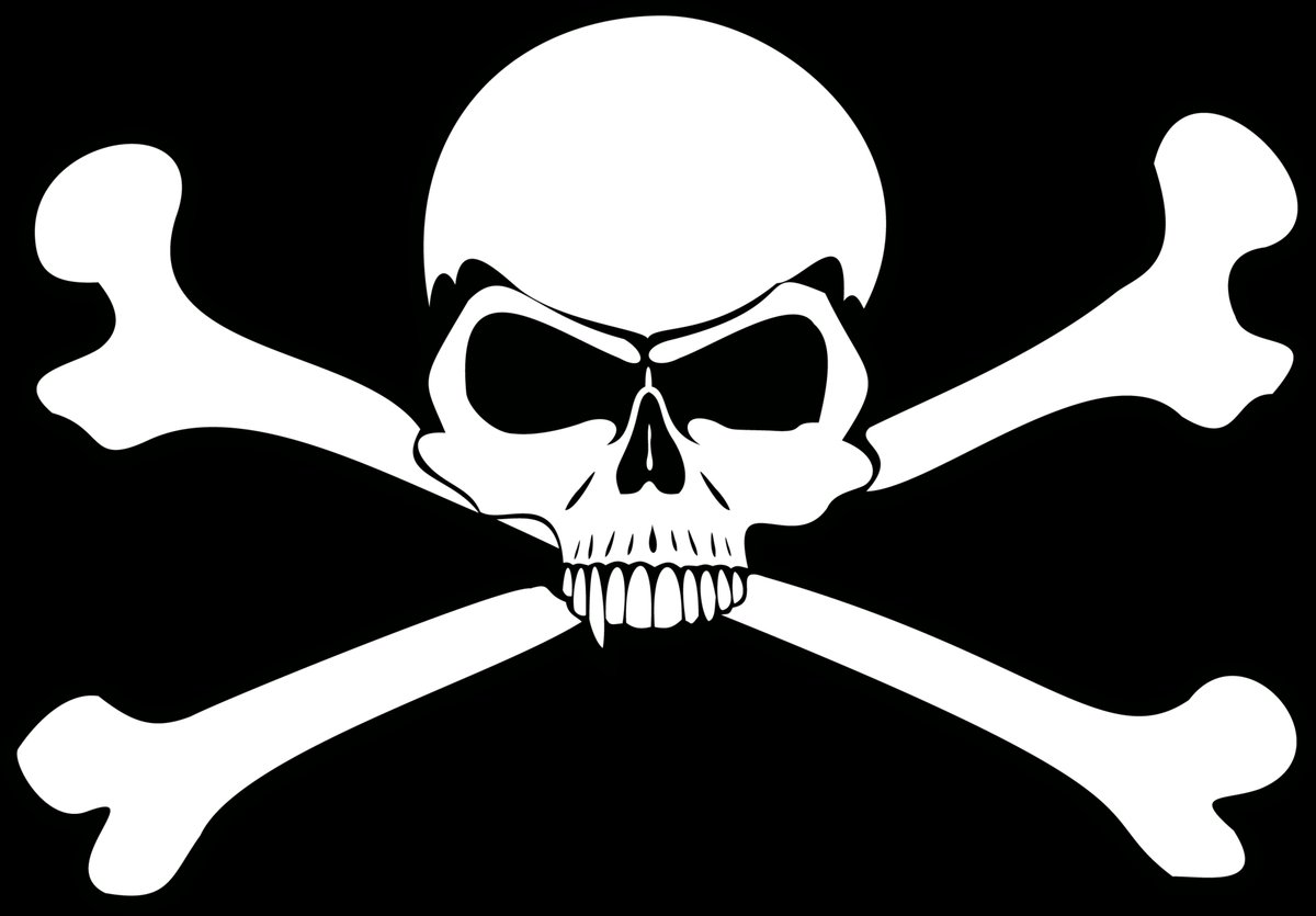 skullnbones vector logo - Free Logo Download | Seekpik