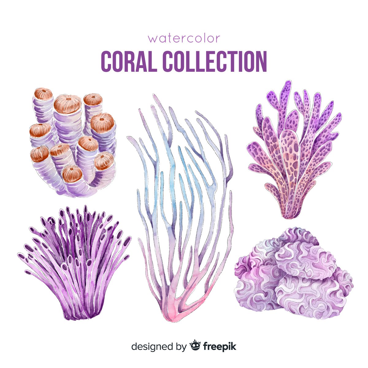 hand drawn colorful coral collection - Free Graphics - Design Download | Seekpik