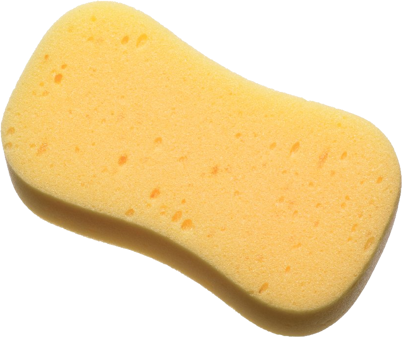 single yellow sponge with slightly textured png