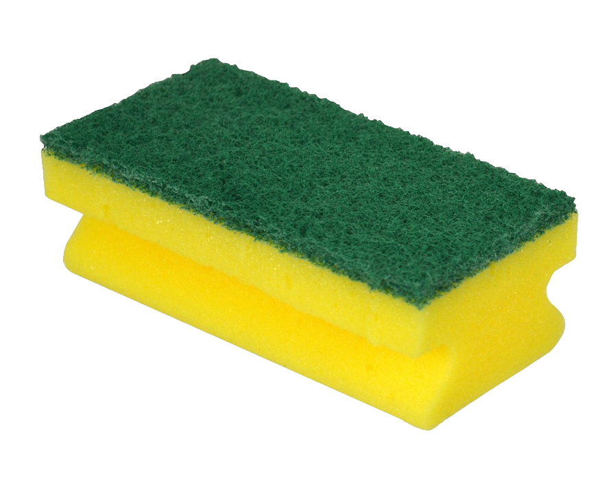 solitary yellow and green sponge rests png
