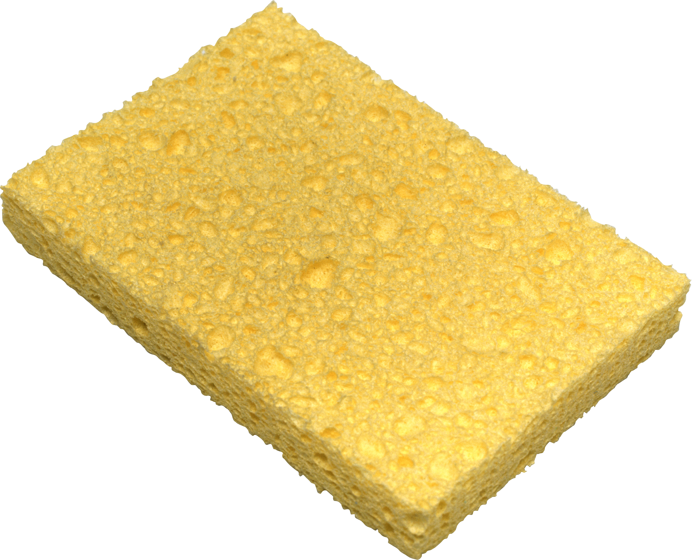 single rectangular yellow sponge shown against png