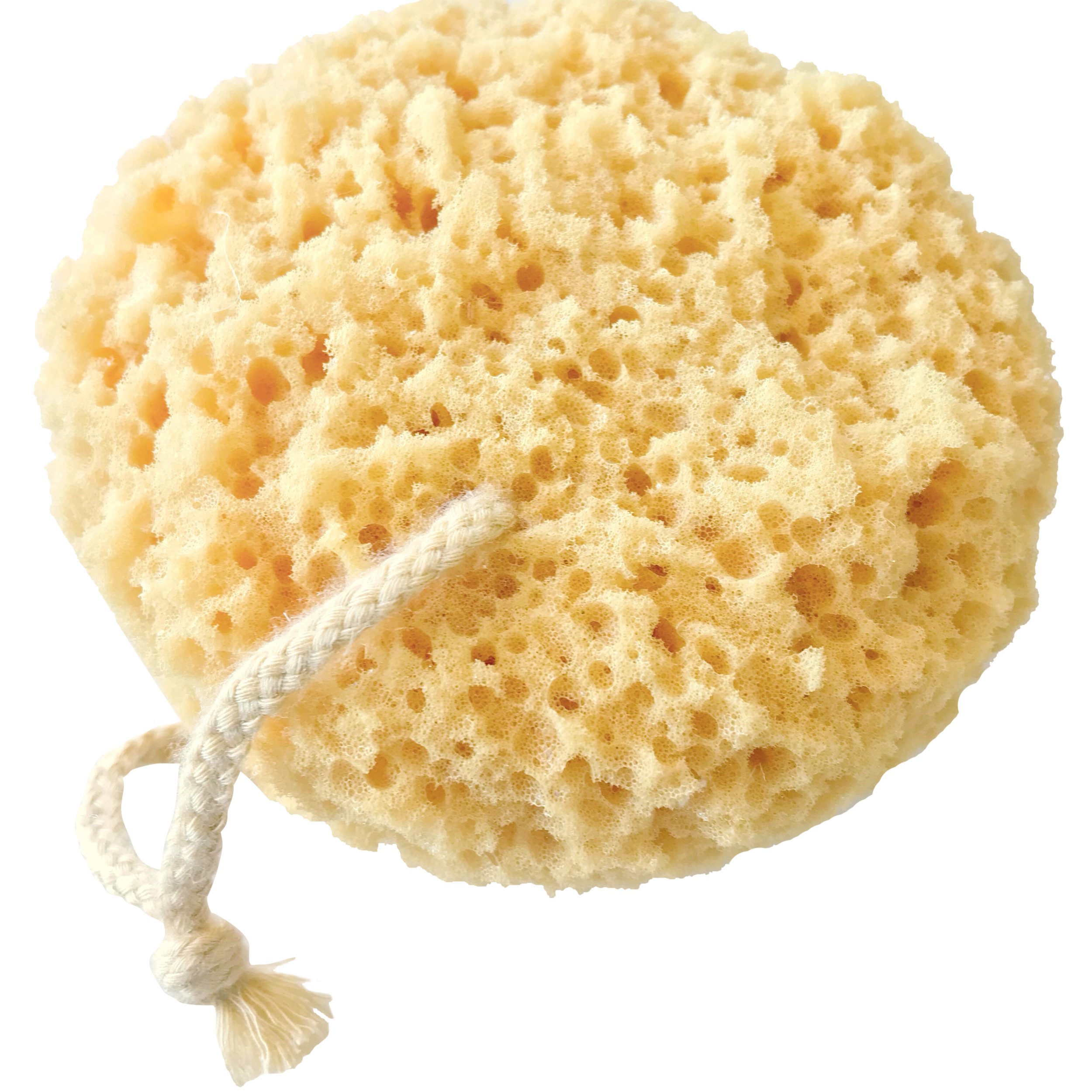 round pale yellow bath sponge with png