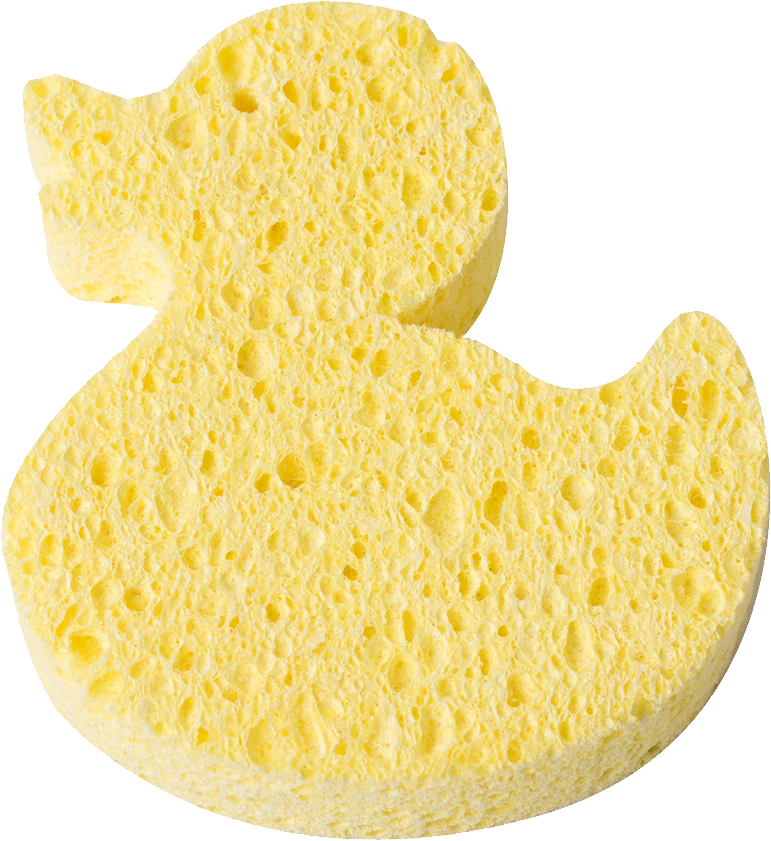 yellow sponge the shape duck centered png