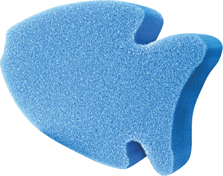 solitary blue sponge shaped like fish png