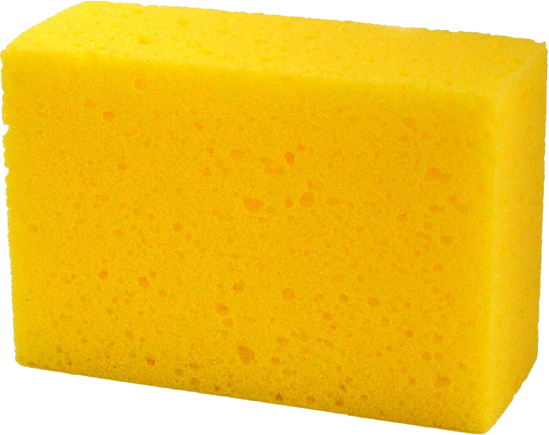 single vibrant yellow sponge rests against png