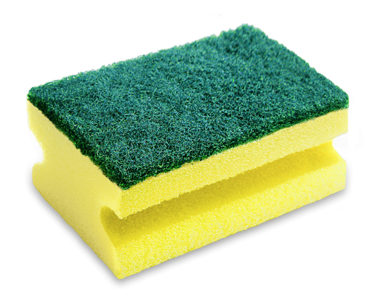 solitary yellow sponge with vibrant green png