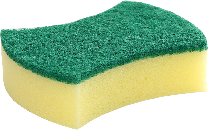 solitary green sponge with soft fluffy png