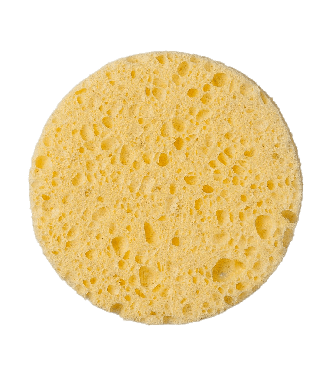 single vibrant yellow sponge centered against png
