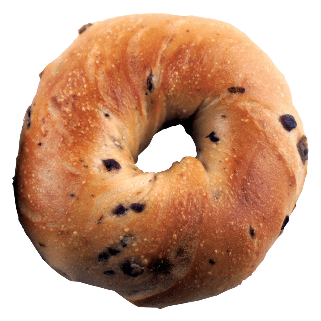 blueberry bagel
