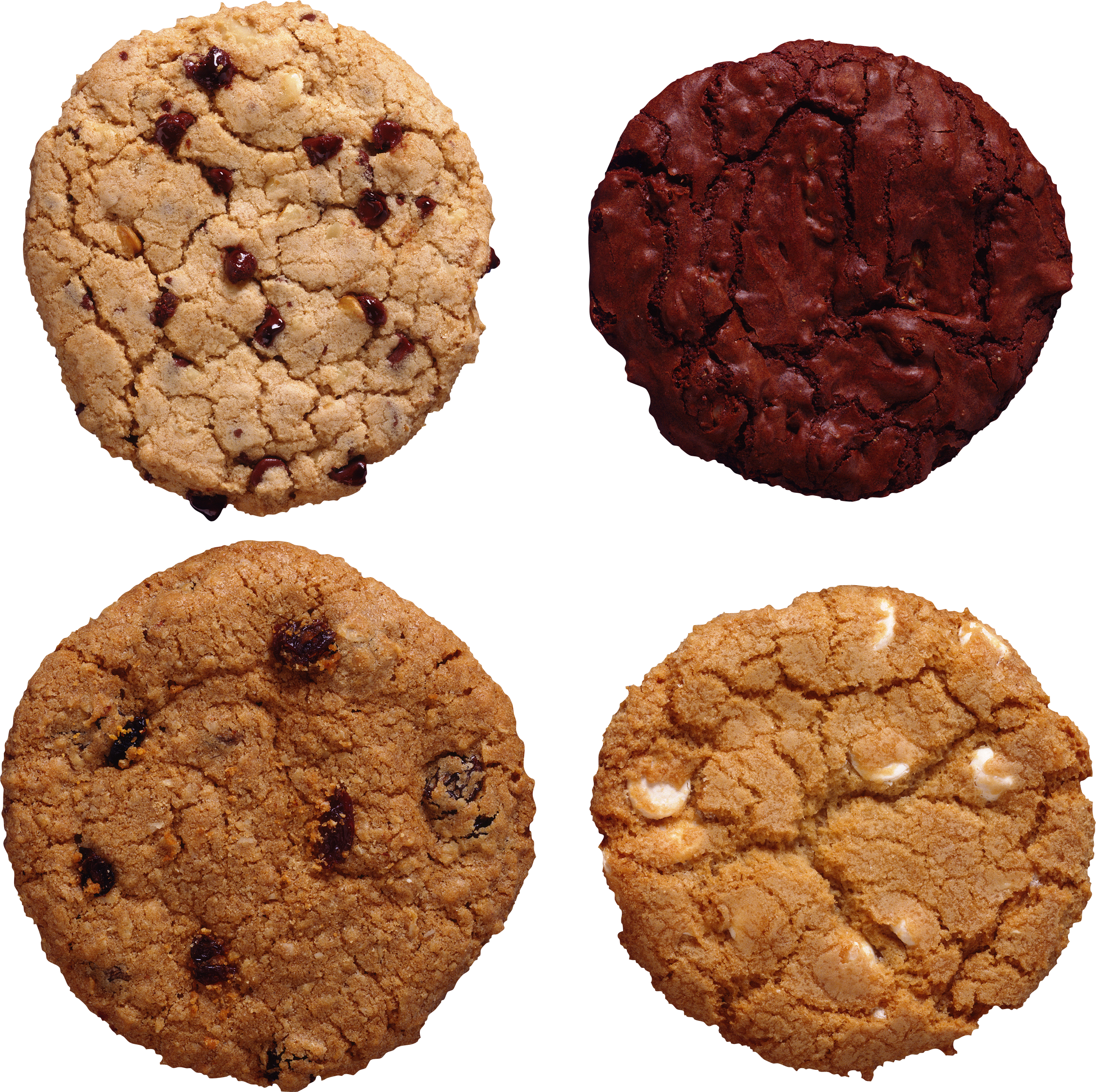 assorted chocolate and fruit cookies 2577x2568
