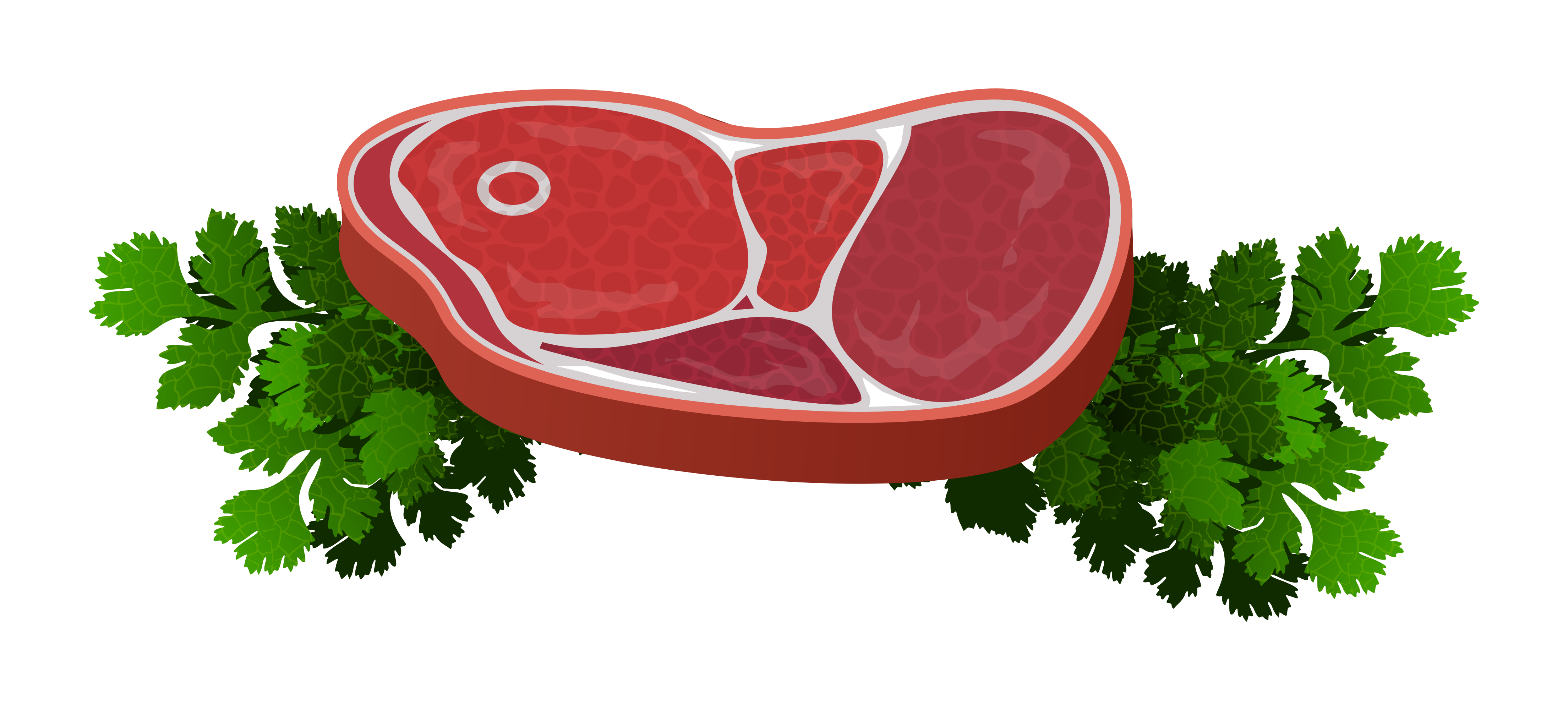 beef cut illustration with parsley 4417x2000