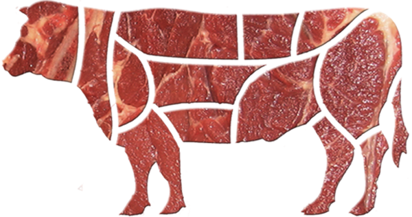 beef cuts diagram illustration 600x316