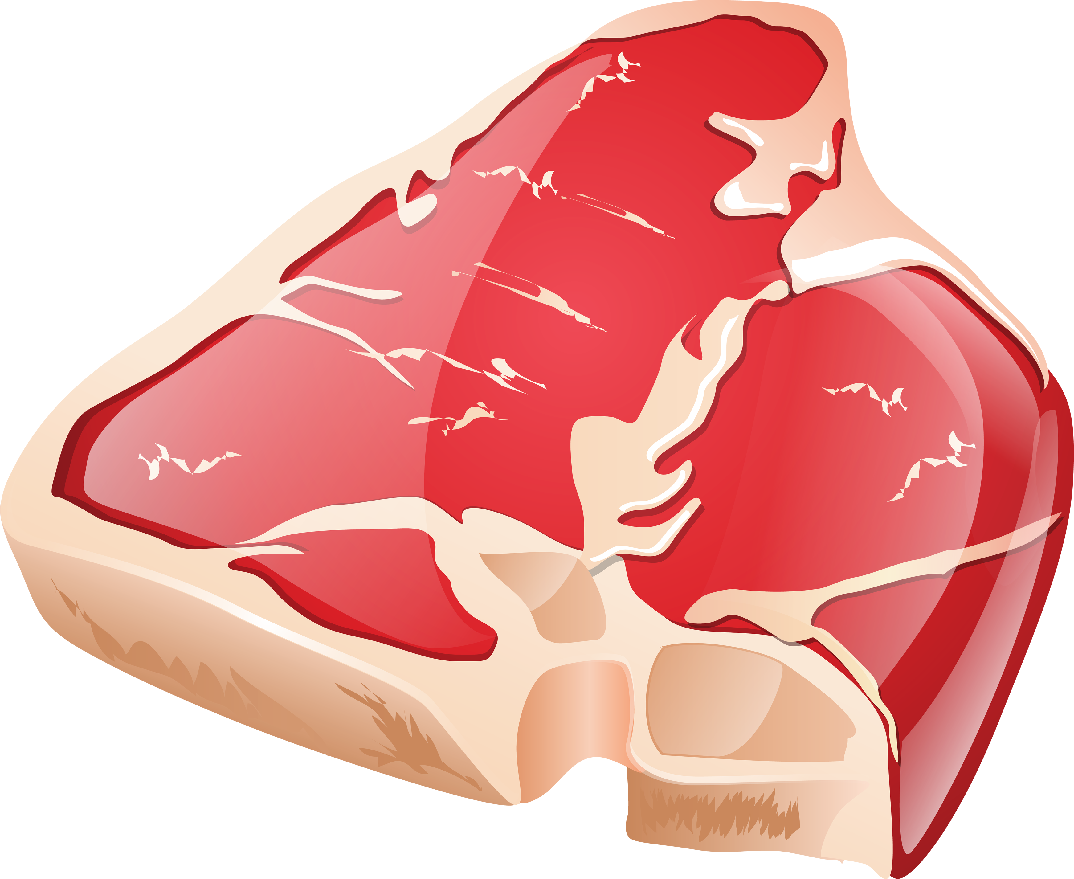 beef diagram with cuts highlighted 3485x2852