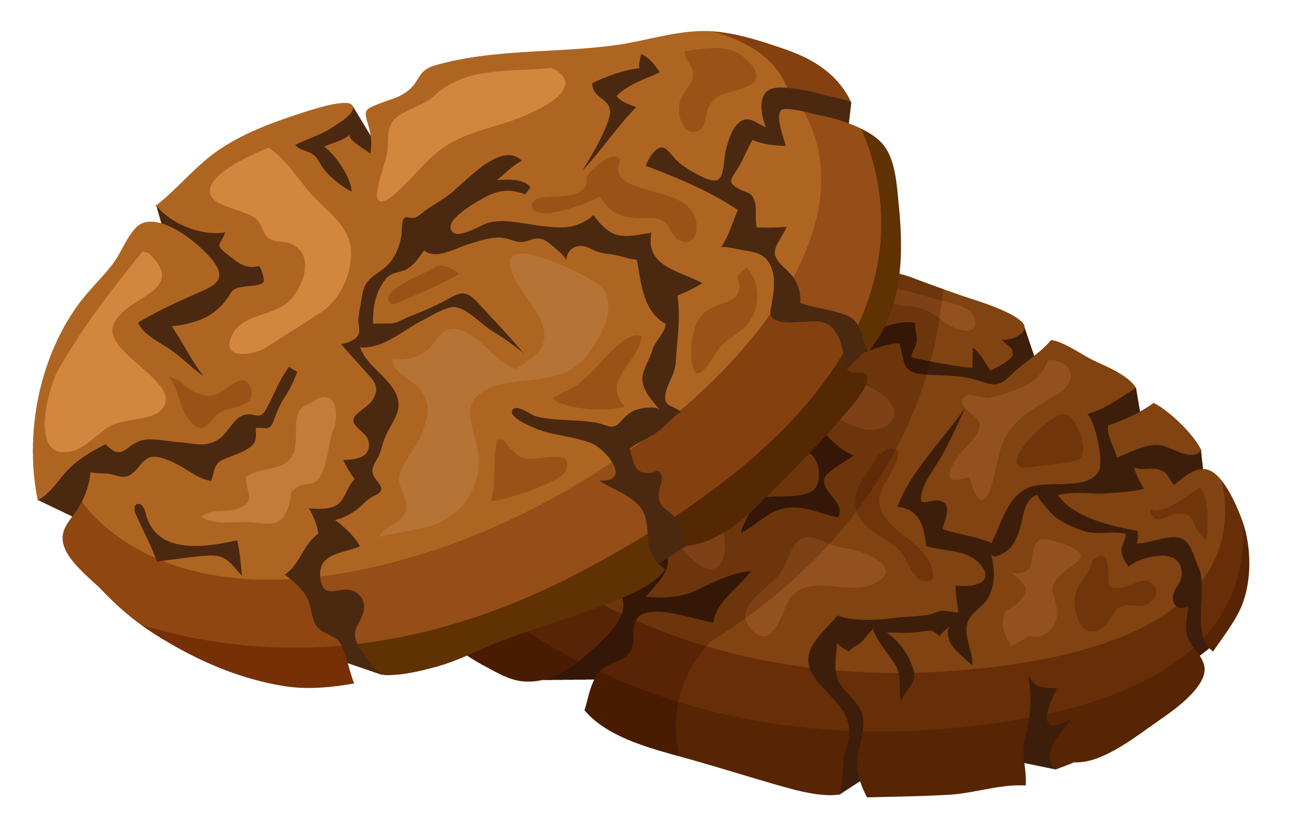 chocolate swirl cookies 2571x1659
