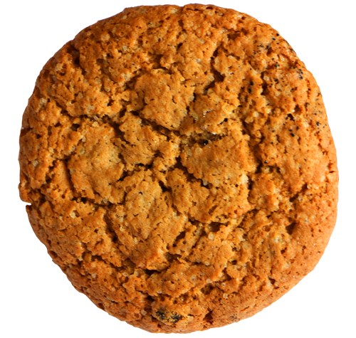 crispy ginger snap cookie 500x475