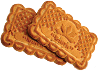 embossed rectangular biscuits 327x239