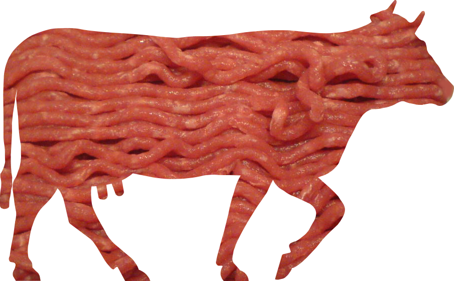 illustration of cow cuts diagram 904x560