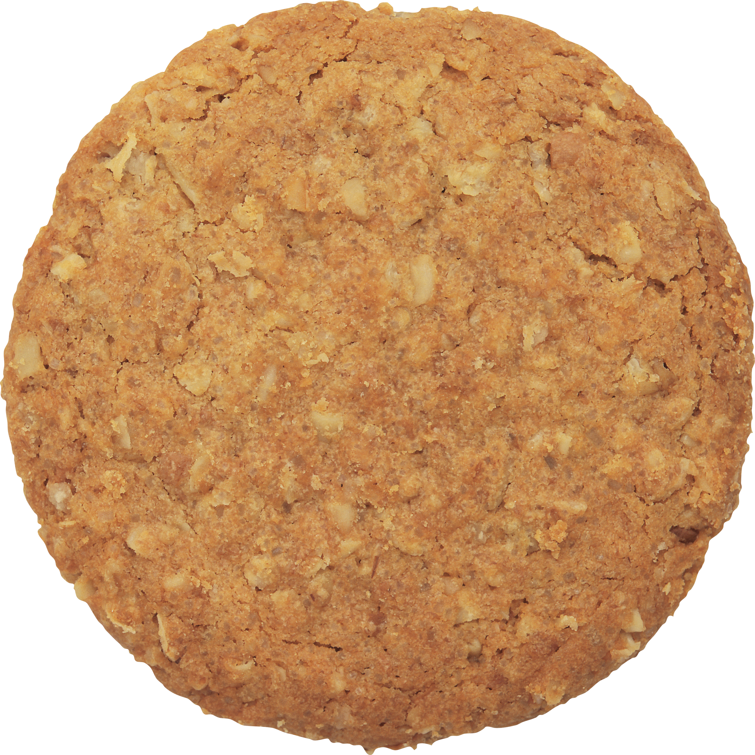 large crispy oatmeal cookie 2500x2499