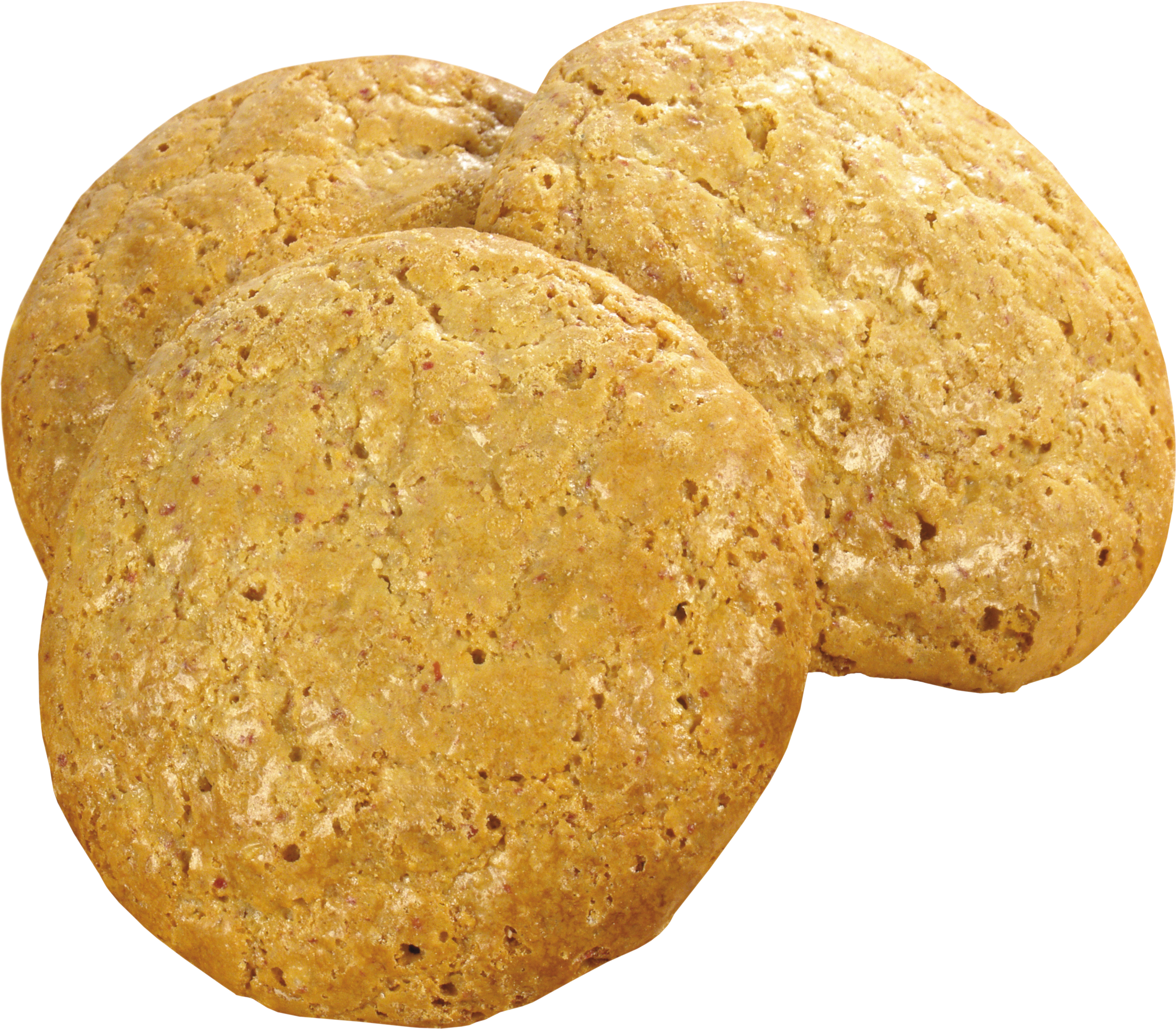 oatmeal cookies 2369x2072