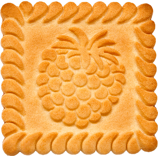 pineapple embossed biscuit 505x500