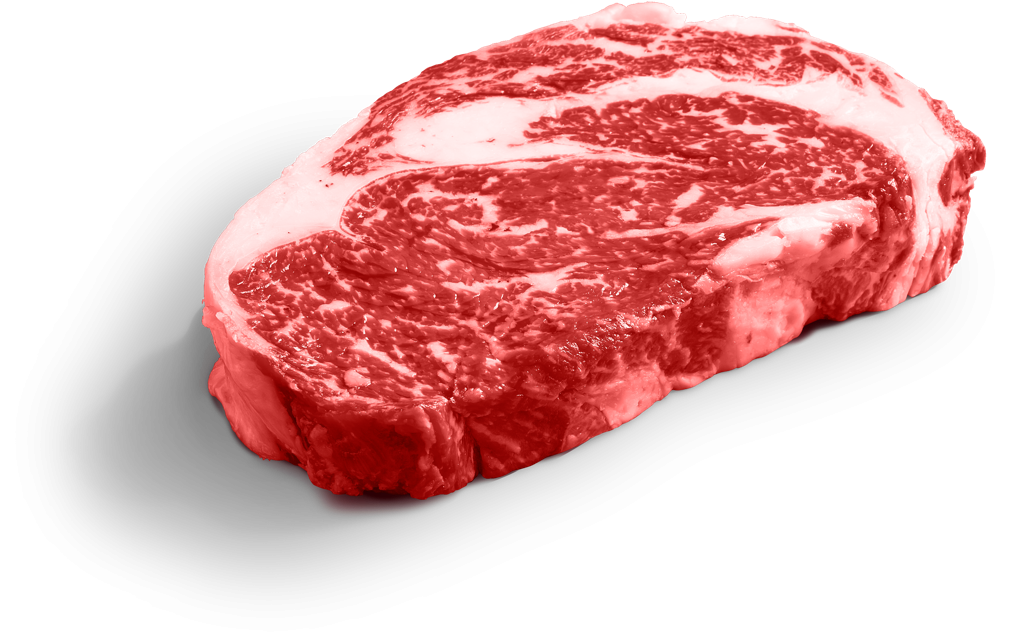 ribeye steak with marbling 1010x644