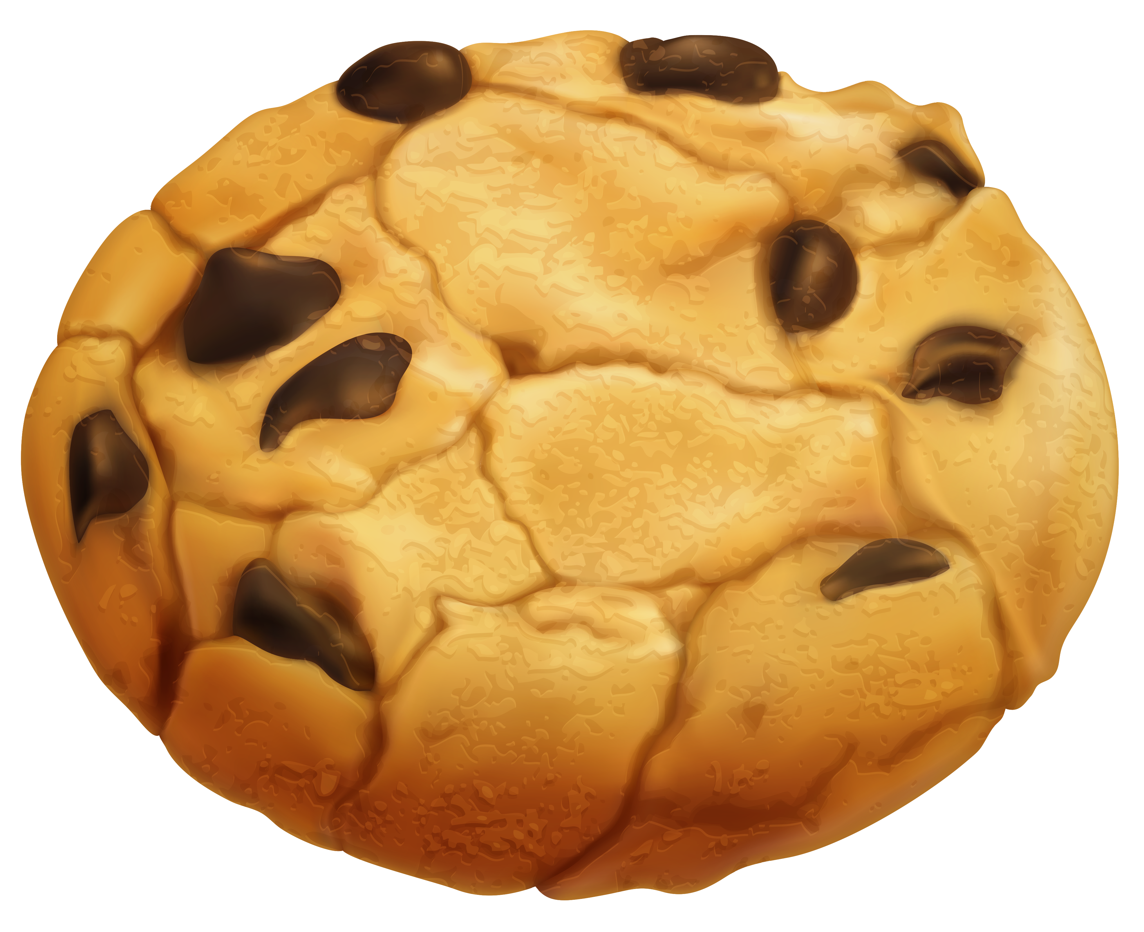 soft cookie with chocolate chips 3943x3212