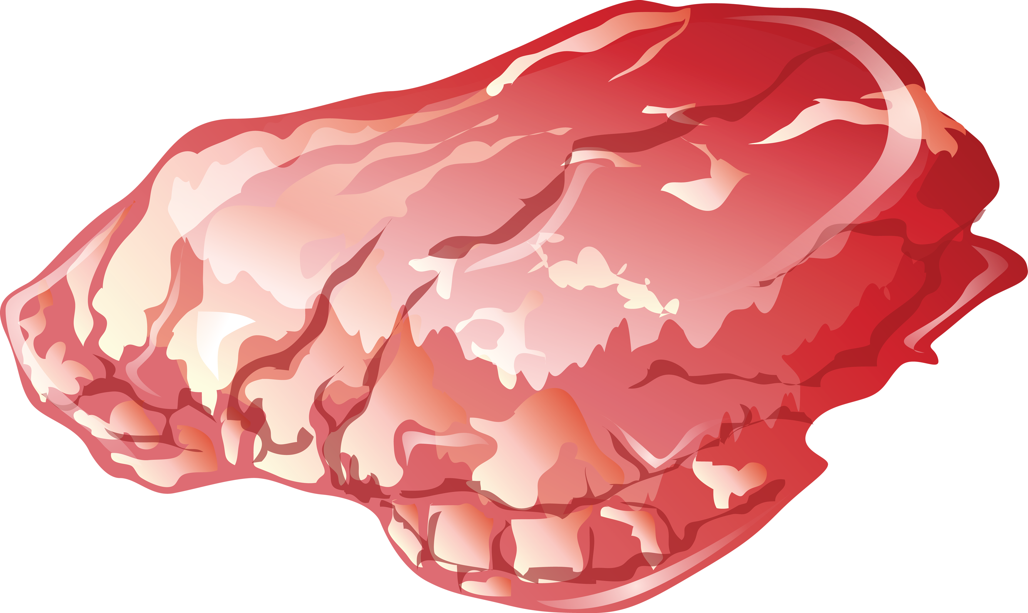 thin sliced beef 3499x2088