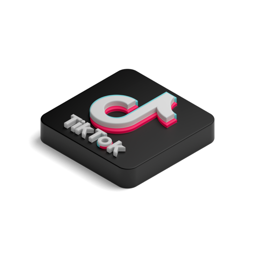 TikTok Box L