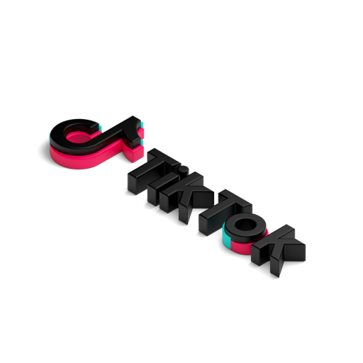 TikTok Full Logo L