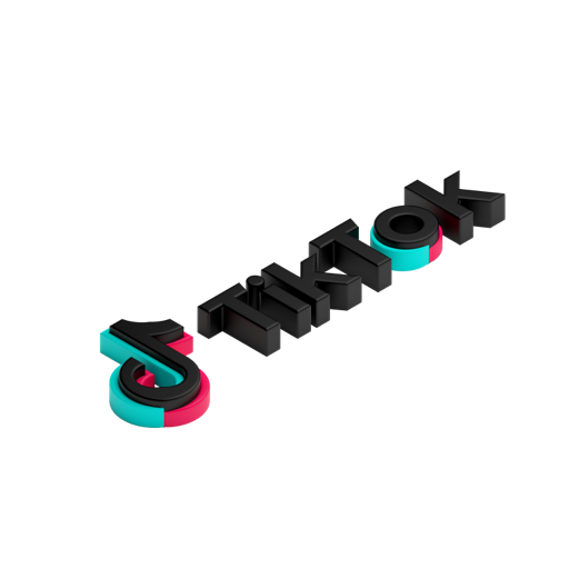 TikTok Full Logo R Shadowless