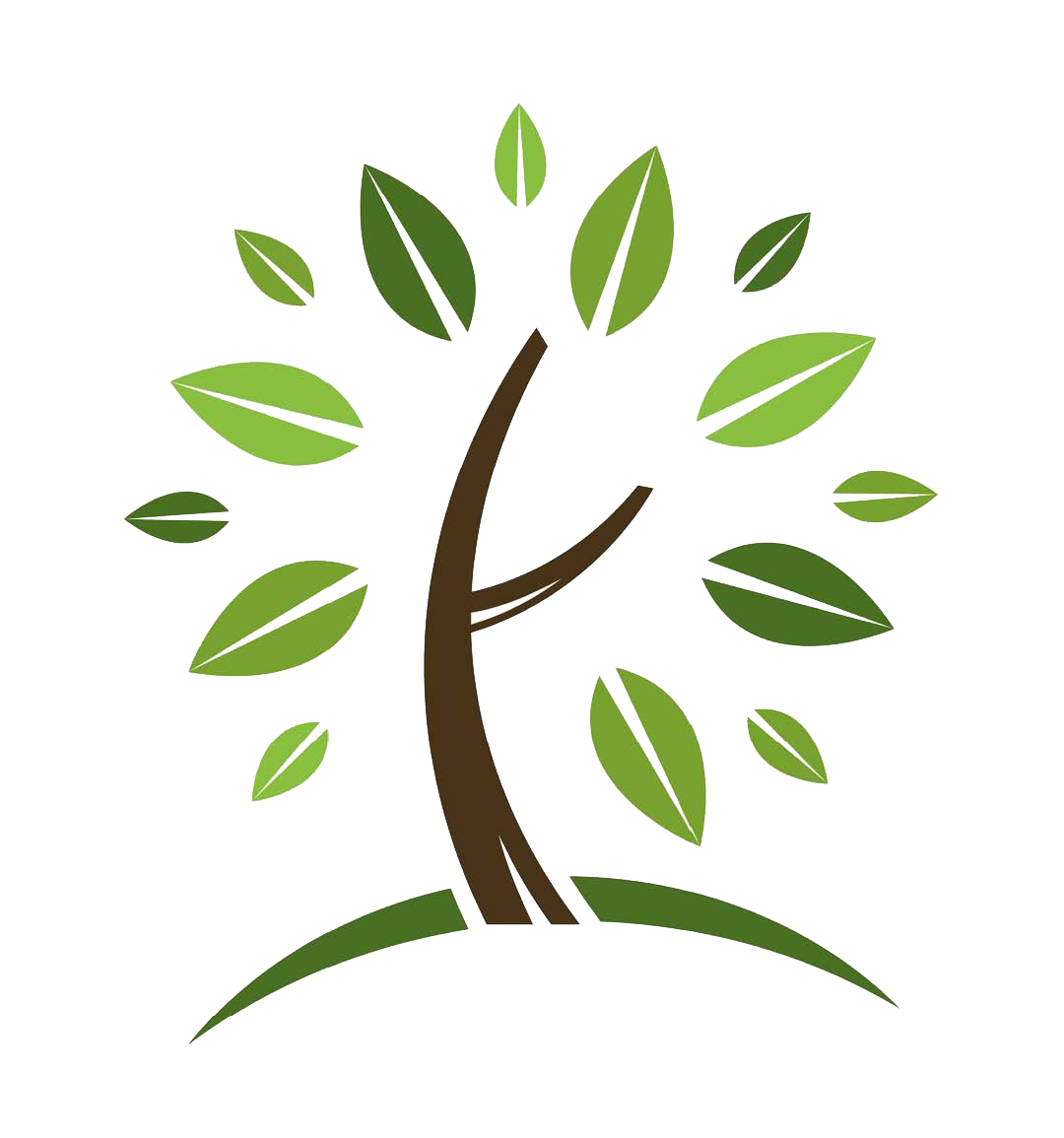 tree logo business acorn school
