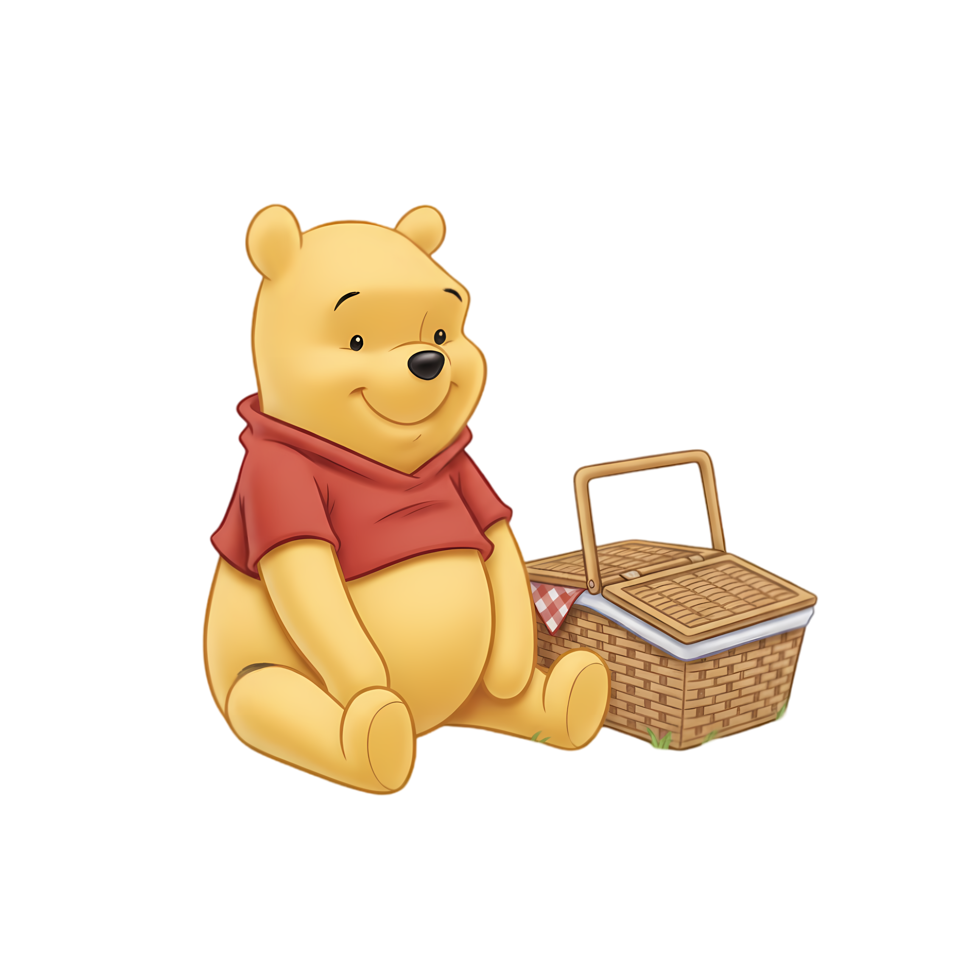 gentle picnic pose featuring winnie the pooh