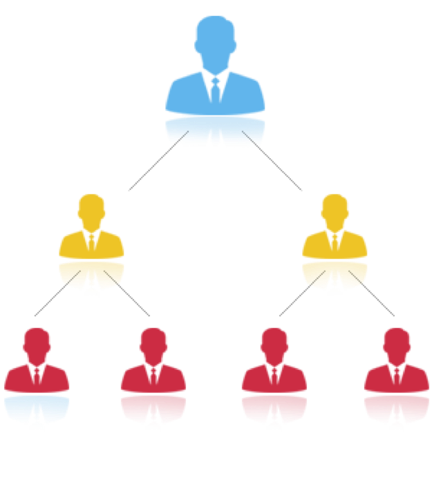 multi level marketing binary plan company marketing