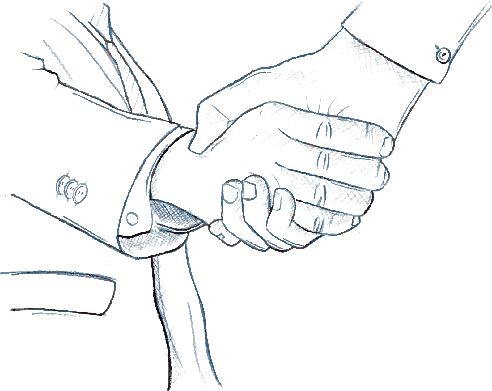 business organization marketing hand shake