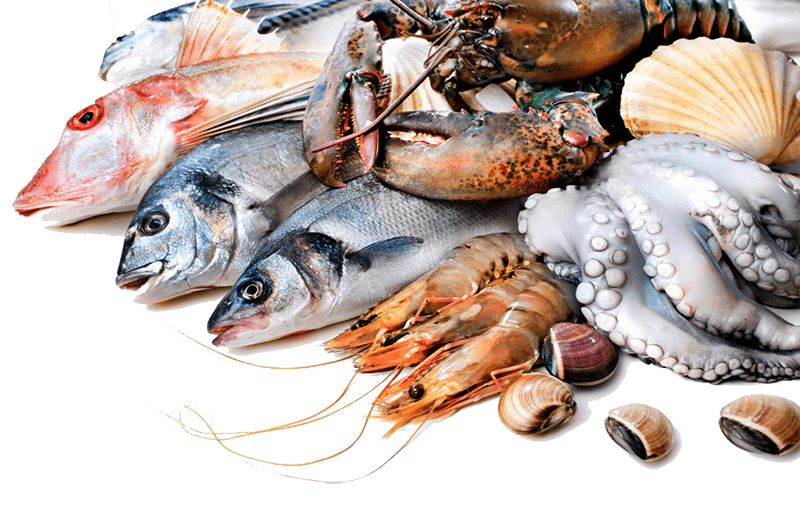 seafood fish market top choice fish lobster fish