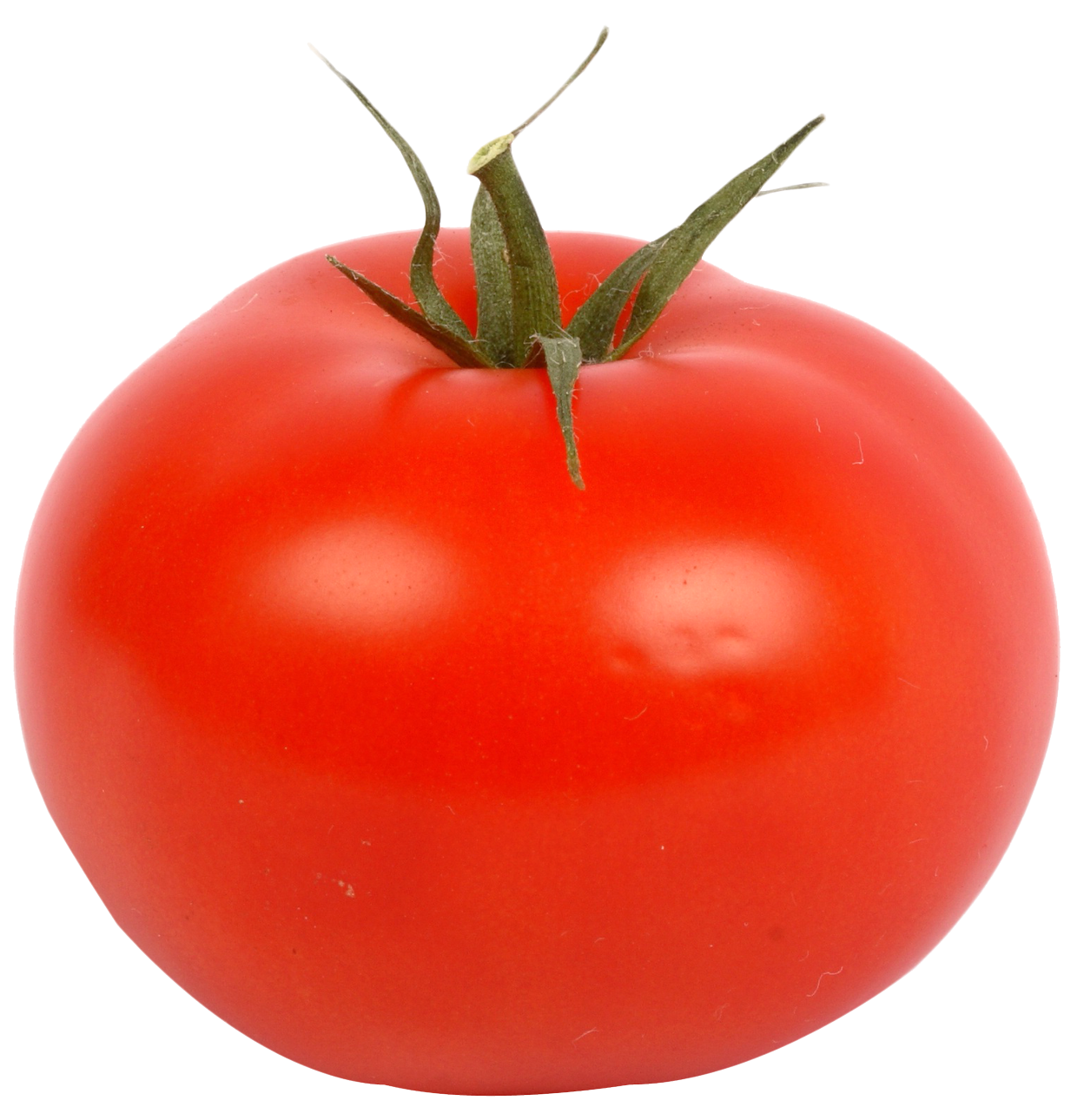 tomato juice plank road market fresh red tomato