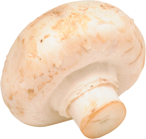 common mushroom fungus vegetable market garden champignon