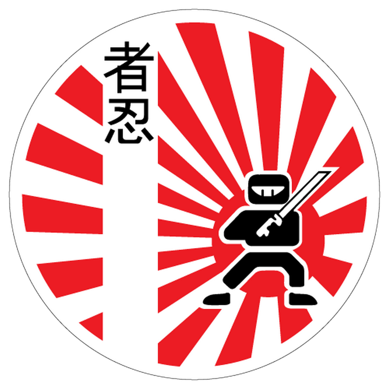 sticker decal car japanese domestic market vinyl group car