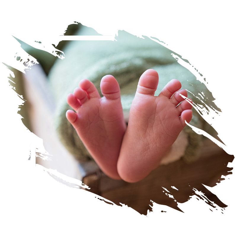 advertising digital marketing newborns