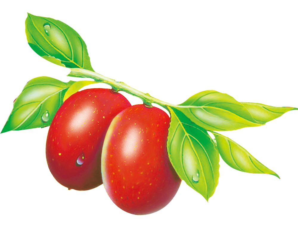 dietary supplement jujube packaging and labeling fruit marketing dates