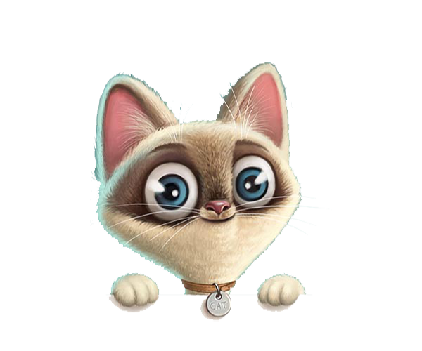 digital marketing boundland google adwords 3d cartoon cat