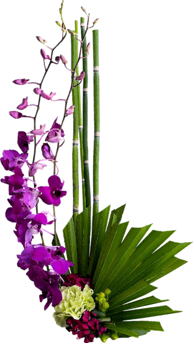 floristry flower delivery allens flower market petals network bamboo orchid