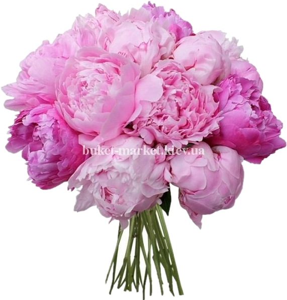 flower bouquet peony wedding roz market peony