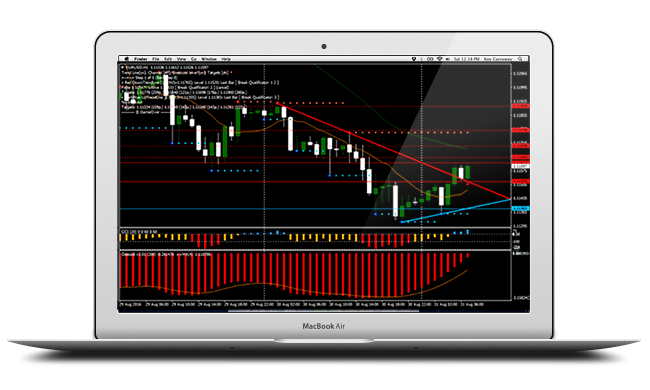 foreign exchange market trade money forex for beginners what you need to know to get started and everything in between binary option wealth creation