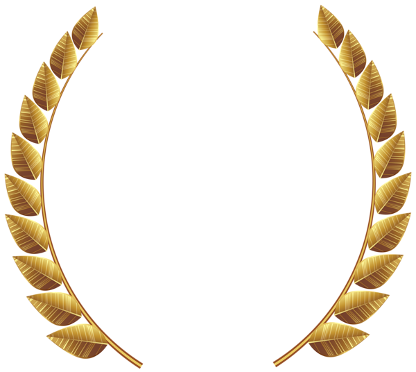 gold digital marketing service price silver laurel