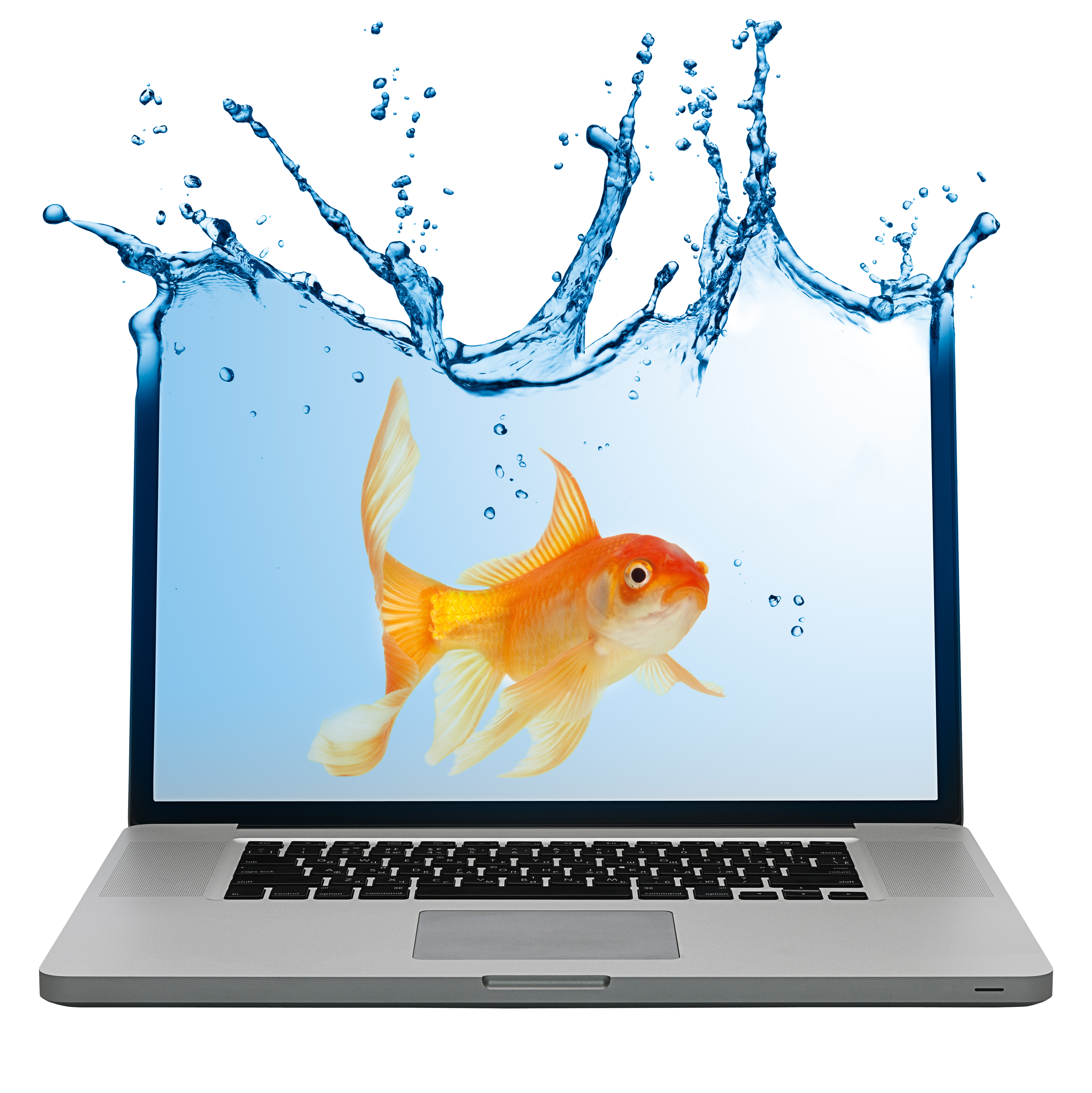 laptop advertising notebook business marketing laptop and goldfish