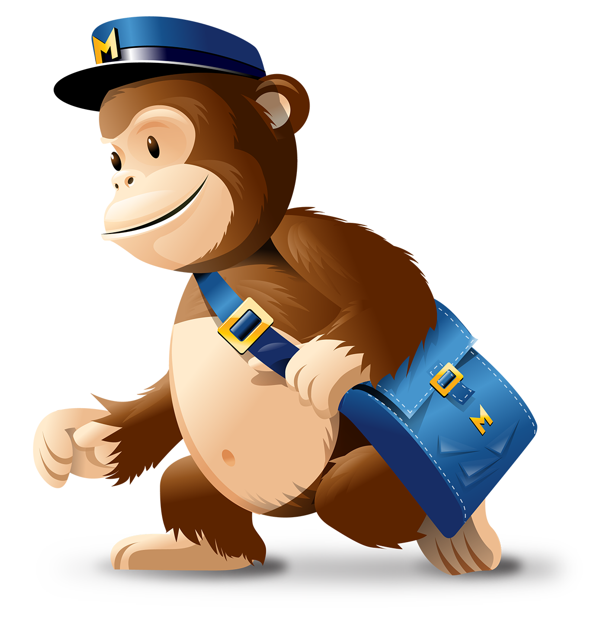 mailchimp email marketing electronic mailing list campaign