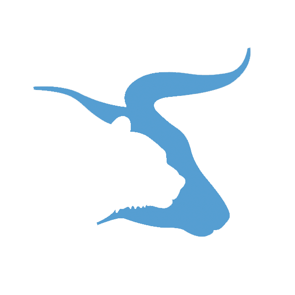 Money Logo University Of British Columbia Foreign Exchange Market Finance Financial Services Exchange Trader Investment transparent back