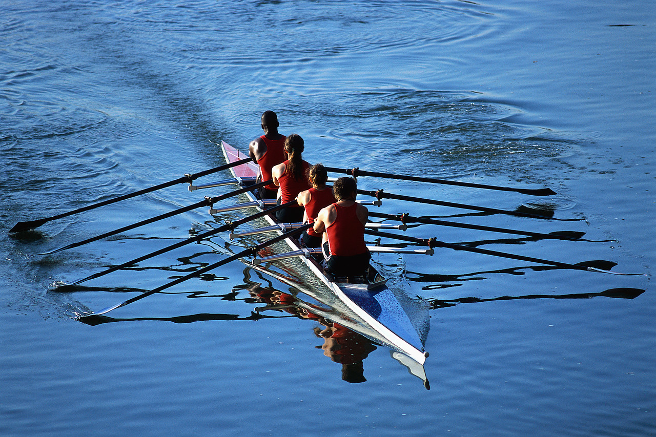 virtual team business organization marketing rowing