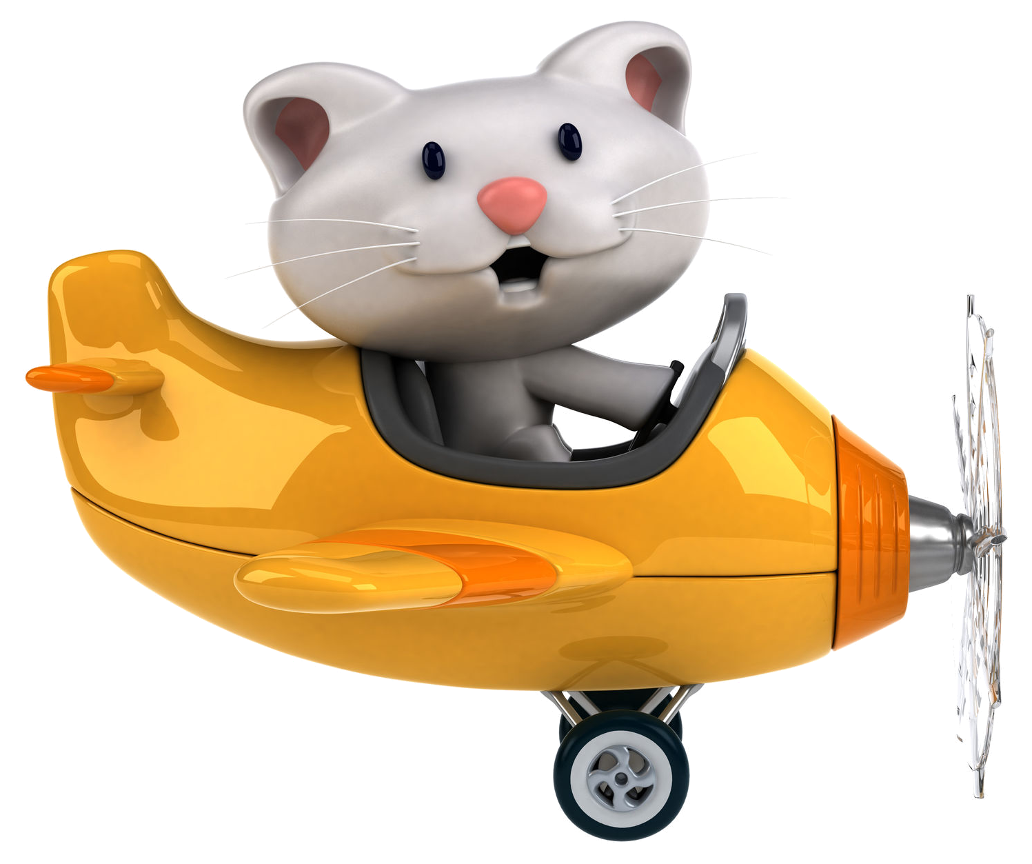 airplane pet travel depositphotos stock photography pet travel